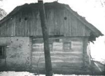 eika image